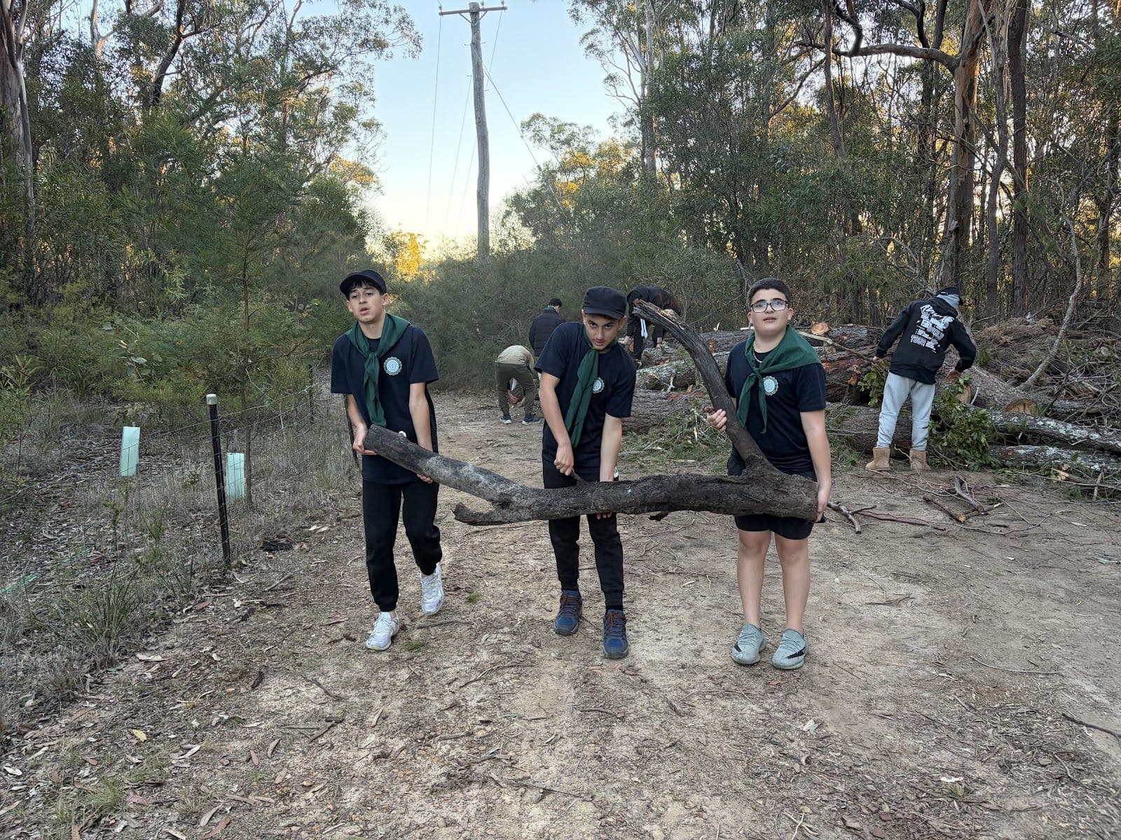 Three campers hauling a log along a bush track